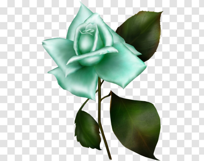 Garden Roses Clip Art Gwen Tennyson 10 - Plant Stem - Blue Clipart Transparent PNG