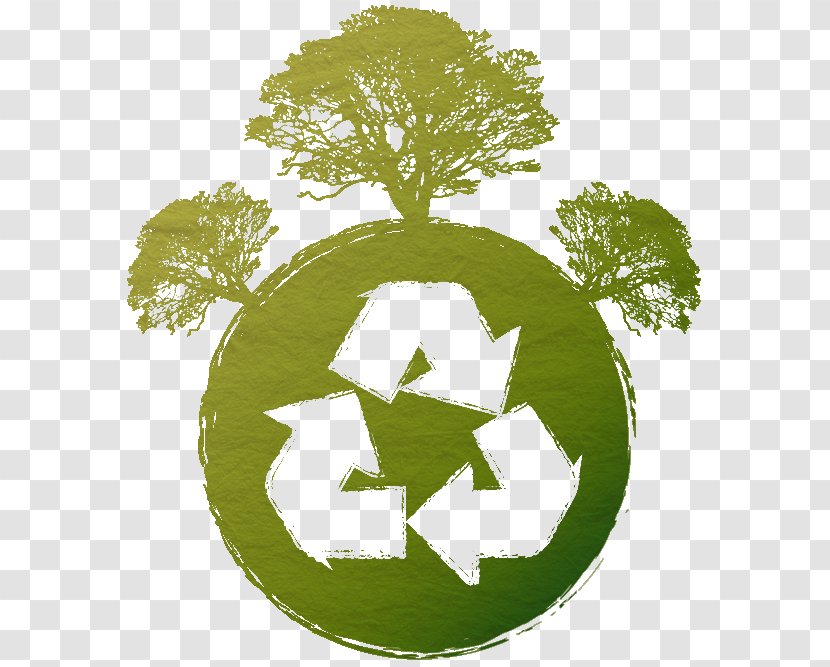 Paper Recycling Symbol - Assess Transparent PNG