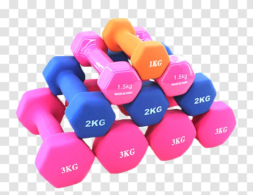 Dumbbell Physical Fitness Weight Training Exercise Equipment Bodybuilding Transparent PNG