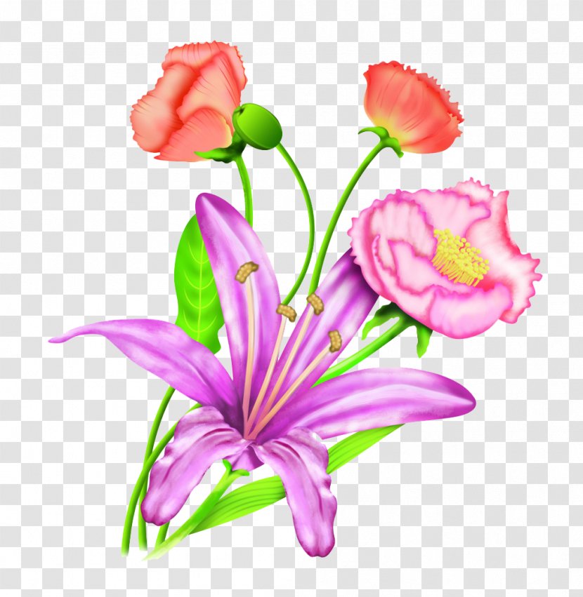 Lilium Flower - Arranging - Hand-painted Lily Carnation Flowers Transparent PNG