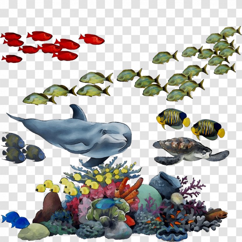 Fish Illustration Product Fauna Font - Plant Transparent PNG