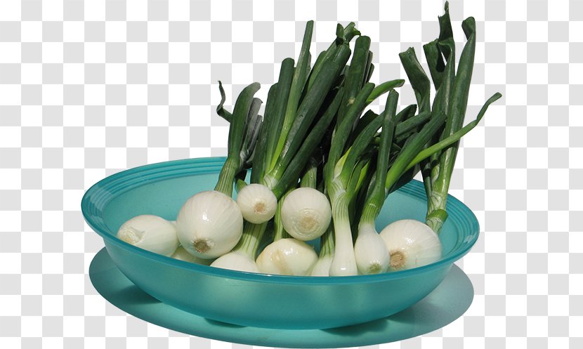 Scallion Onion Leaf Vegetable Garlic - Health Transparent PNG