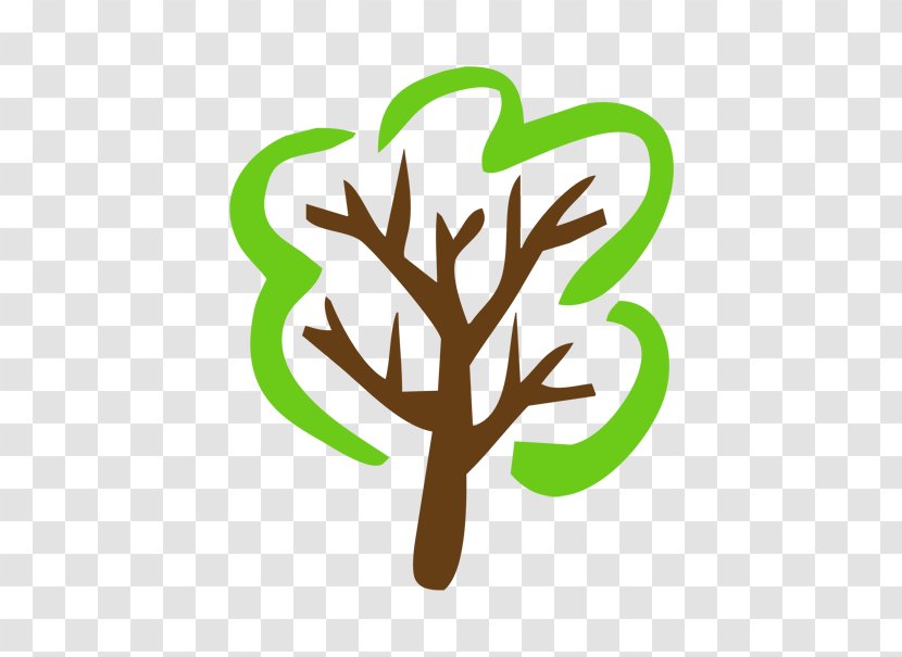 Tree Clip Art - Organism Transparent PNG