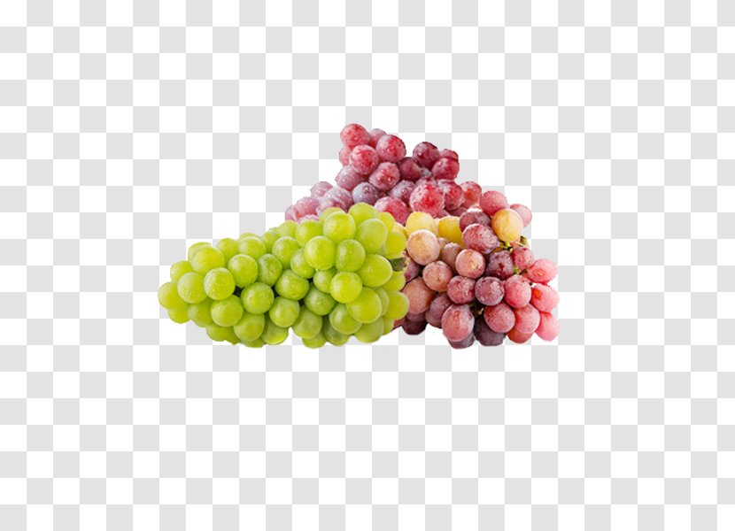 Grape Clip Art - Grapevine Family - Bunch Of Green Grapes Red Transparent PNG