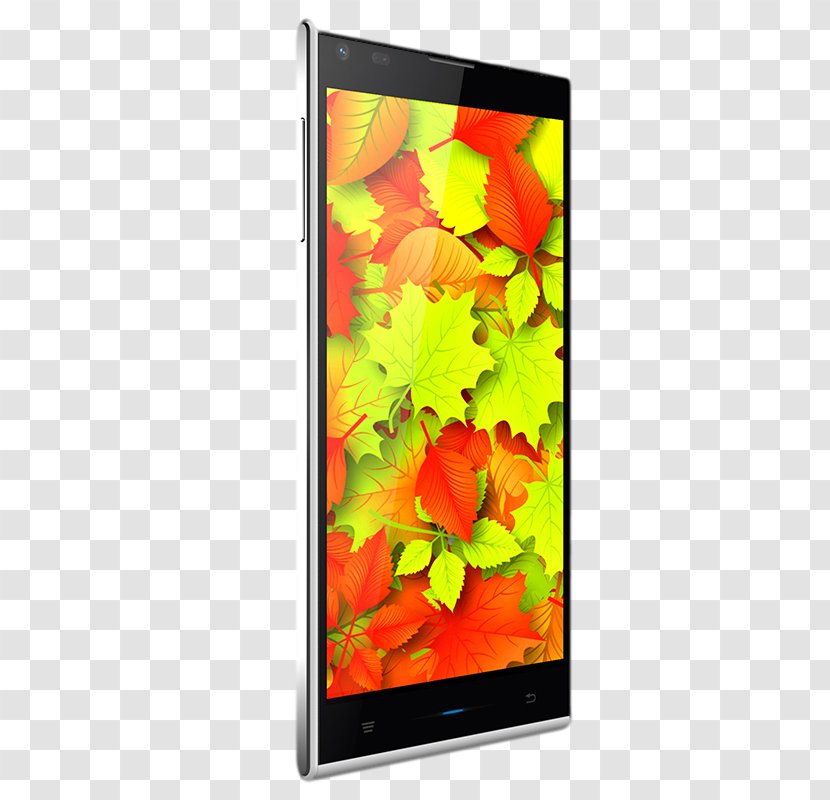 Smartphone Doogee Telephone Firmware Price - Flower Transparent PNG