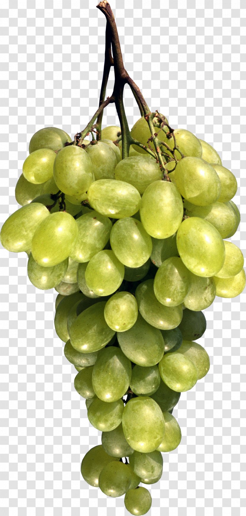 Grape Seed Oil Fruit Berry - Creative Medical Applications Transparent PNG
