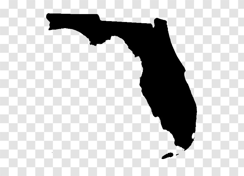 Florida Royalty-free - Stock Photography - Fl Transparent PNG