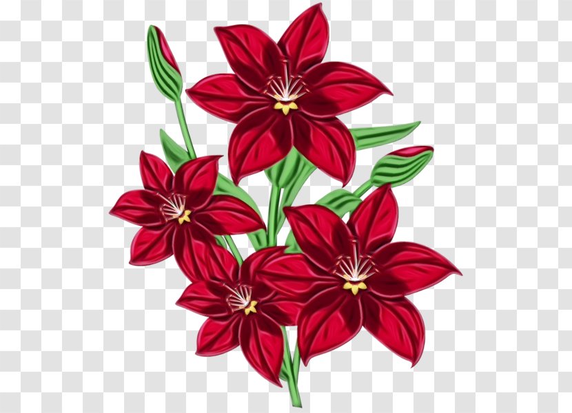 Red Watercolor Flowers - Perennial Plant Wildflower Transparent PNG