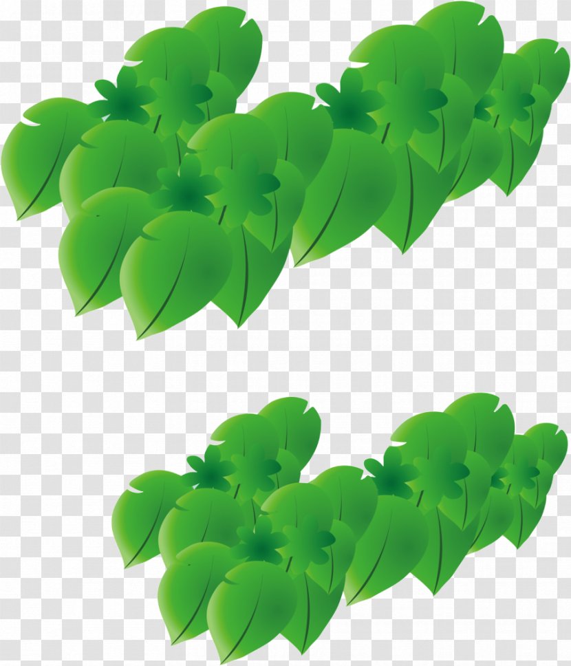 Leaf Cartoon - De - Into Leaves Transparent PNG