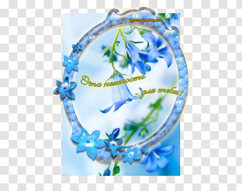 Flower Photography Sister Quotation - Flora Transparent PNG