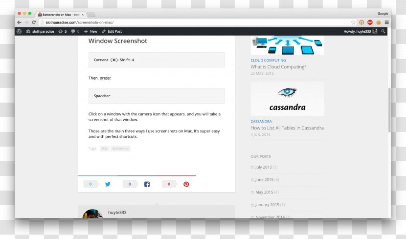 Computer Program Regulation Document Web Page - Screenshot - Mac Screen Transparent PNG