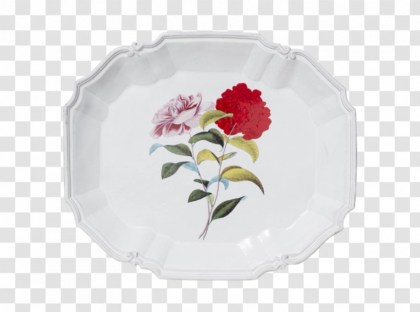 Petal Rose Family Cut Flowers - Flower Transparent PNG