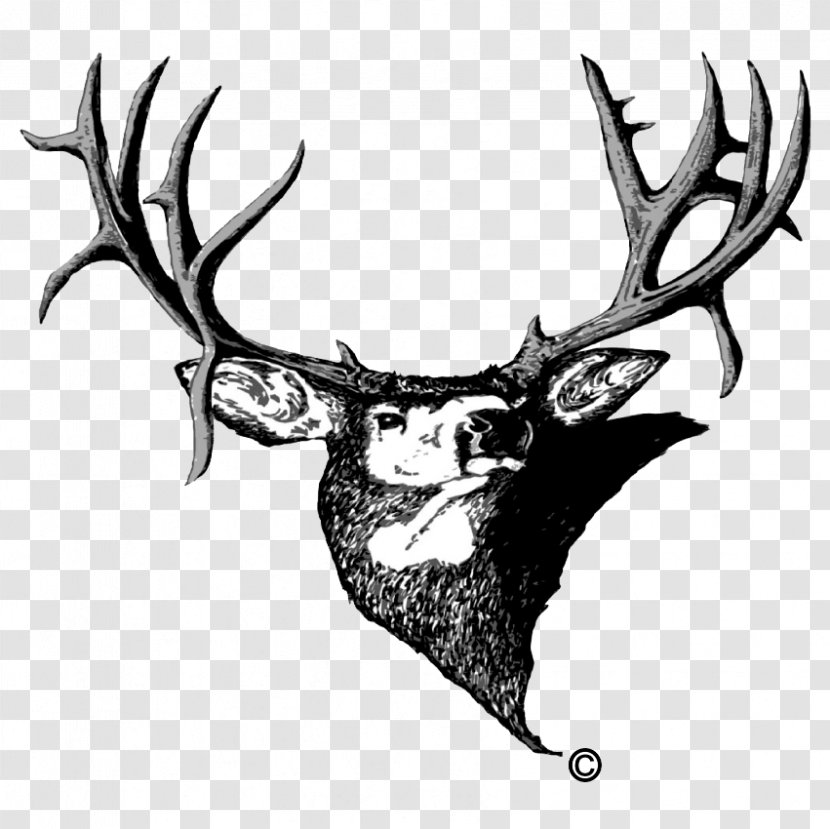 Muley Fanatic Foundation Colorado Organization White-tailed Deer - Drawing - Elk Silhouette Antler Transparent PNG