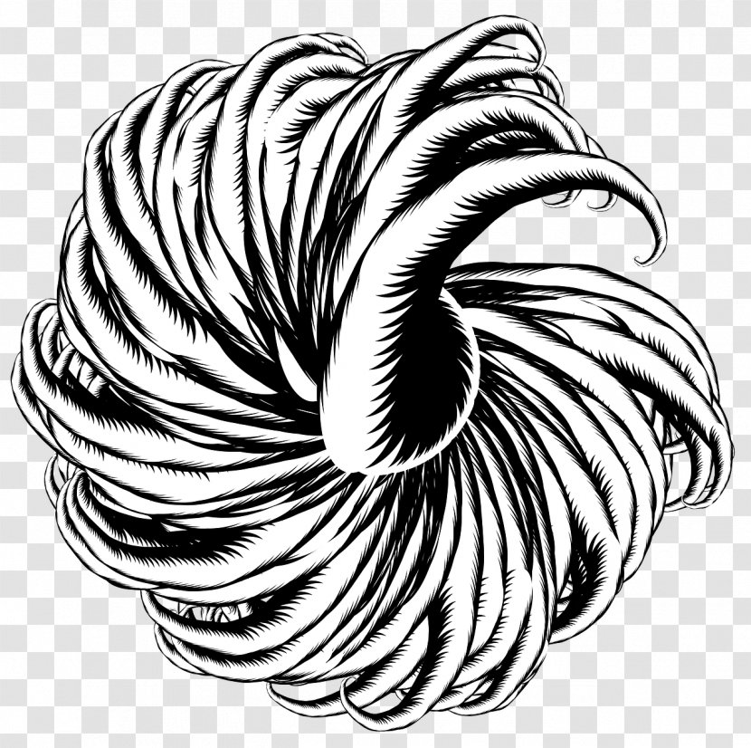 Abstract Art Black And White Sketch Drawing Image - Tentacle - Creature Transparent PNG