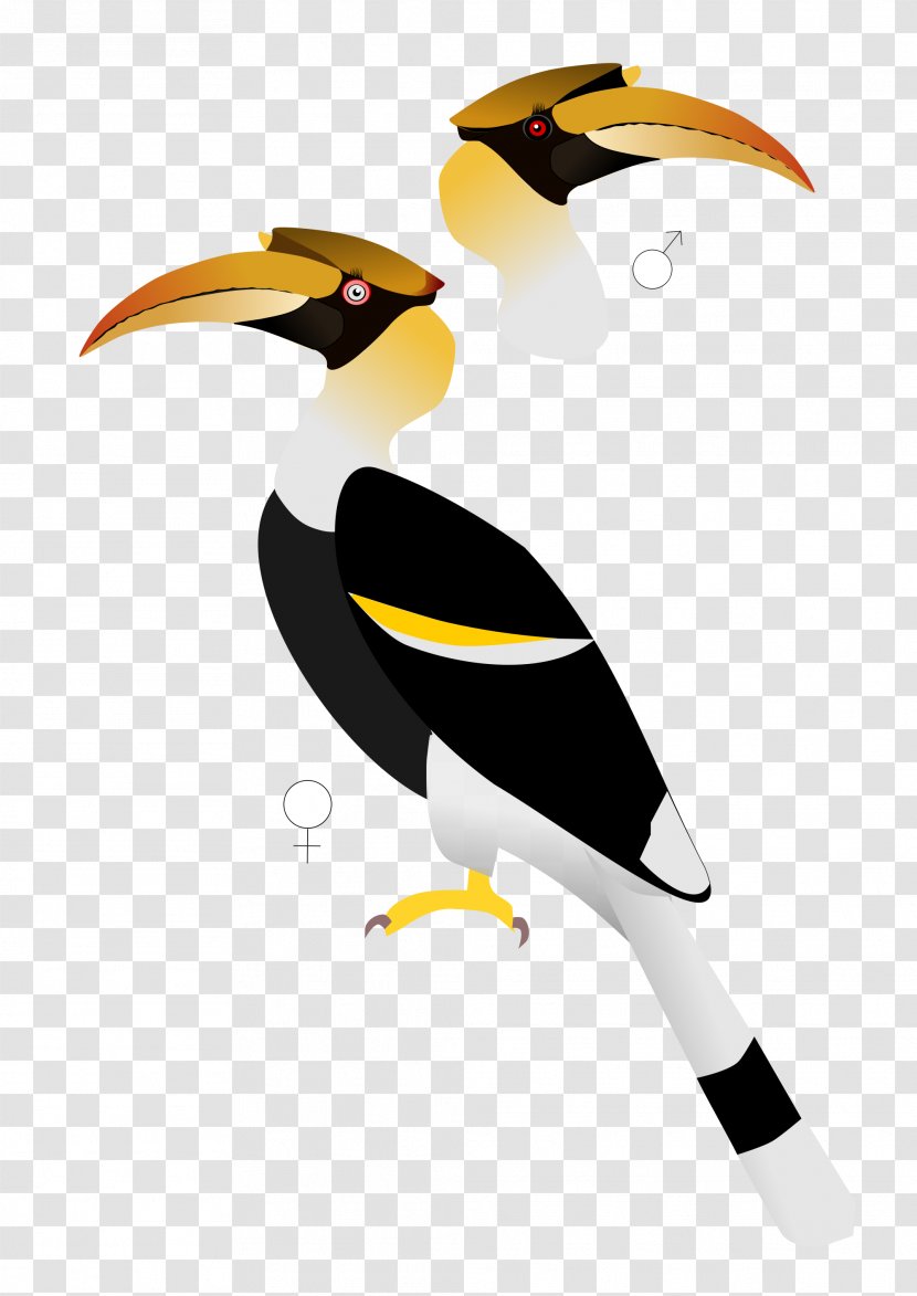 Indian Roller Bird Parrot Great Hornbill - Oriental Pied - Toucan Transparent PNG