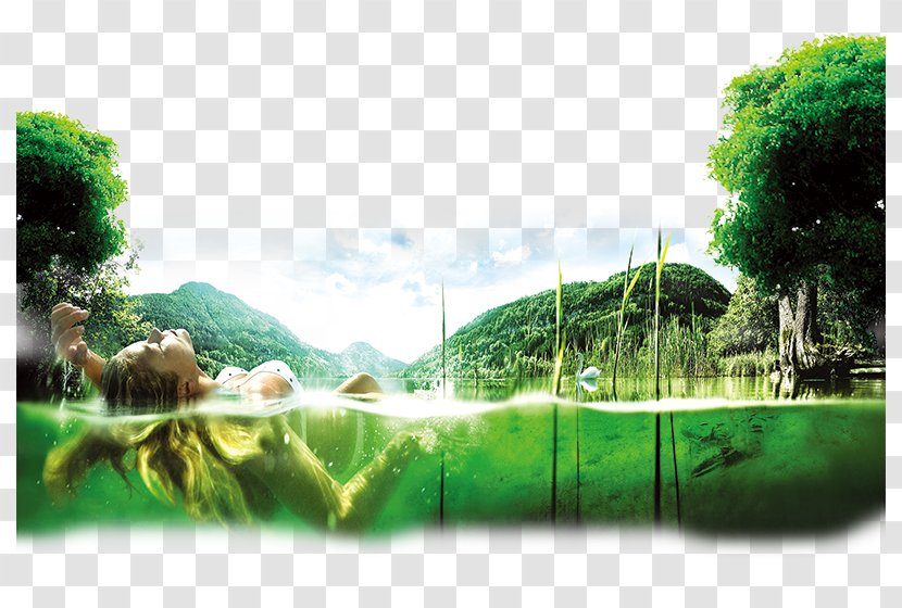 Poster Advertising - Property Lake Mermaid Transparent PNG