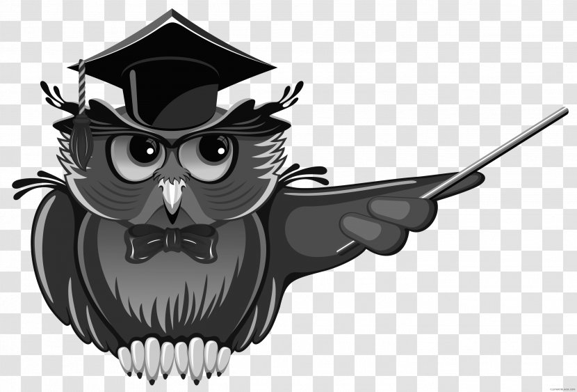 Owl Teacher Education School Clip Art - Vertebrate Transparent PNG