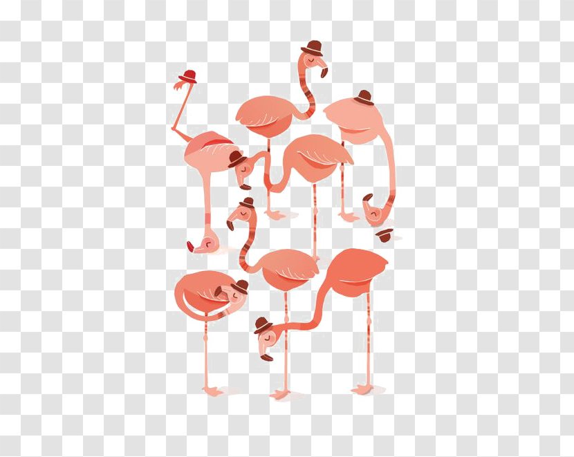 Flamingo Pink Illustration - Beak - Toon Transparent PNG