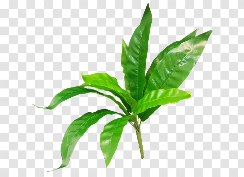 Leaf JMC Floral Artificial Flower Fern Plant Stem Transparent PNG