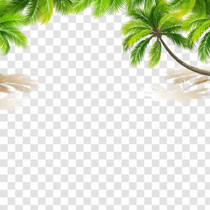 Color Lip Balm - Coconut Tree Transparent PNG