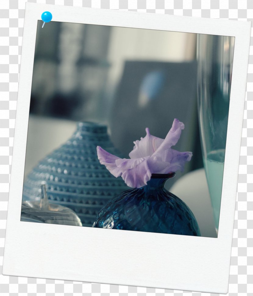 Stock Photography Picture Frames - Flower - Bam Transparent PNG