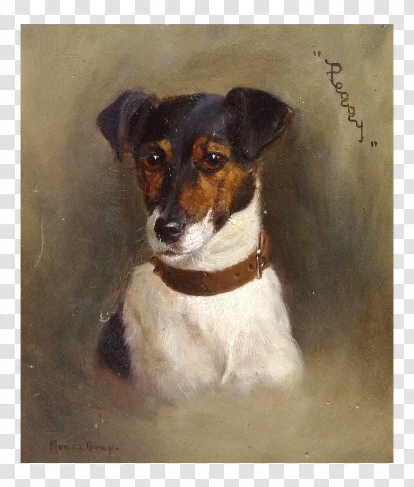 Jack Russell Terrier Miniature Fox Brazilian Tenterfield Rat - Painting Transparent PNG