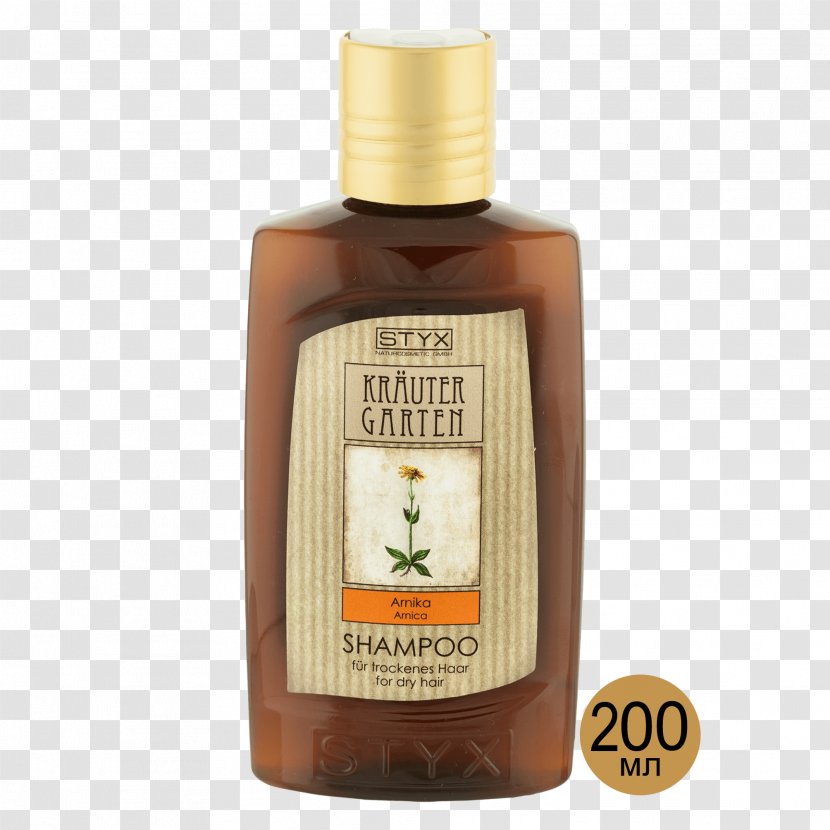Hair Shampoo Balsam Cosmetics Skin - Cosmetology Transparent PNG