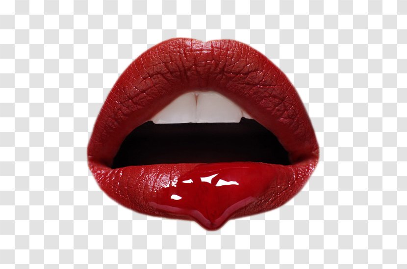 Lip Photography Photographer The Beauty Book - Bouche Transparent PNG