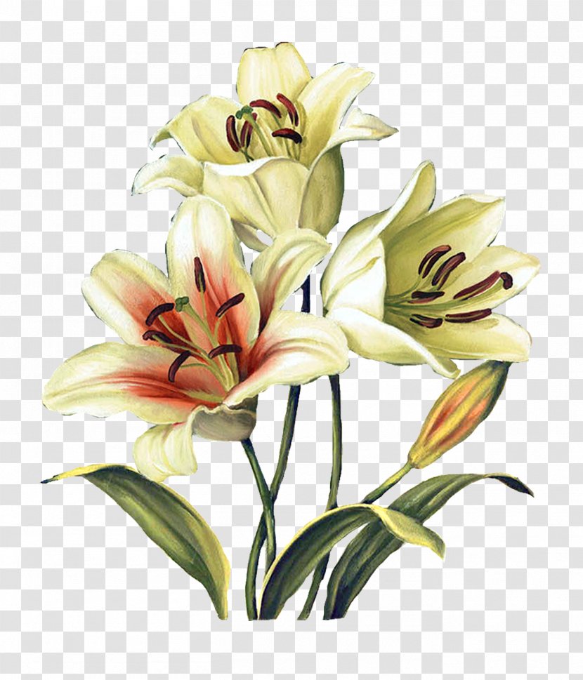 Flower Floral Design Watercolor Painting Art - Petal - Painted Flowers Transparent PNG