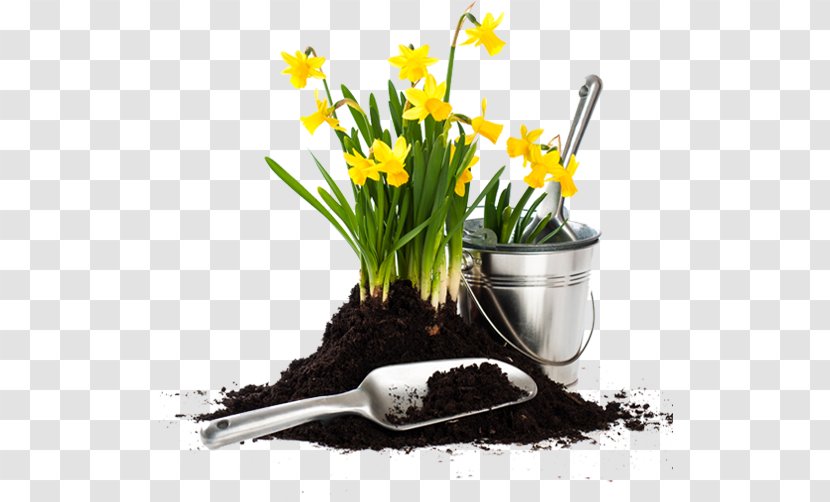 Garden Fork Flowerpot Gardening Potting Soil - Daffodil - Grass Transparent PNG