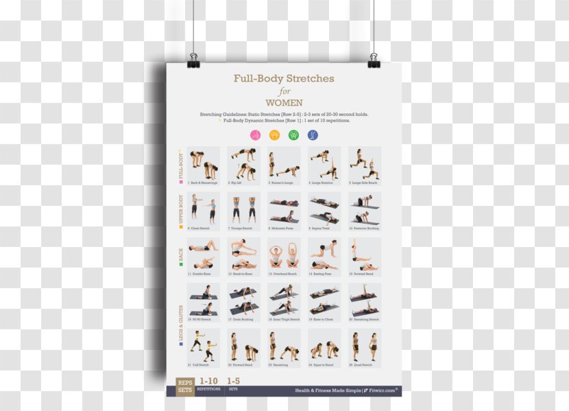 Stretching Bodyweight Exercise Flexibility Dumbbell - Text - Poster Transparent PNG