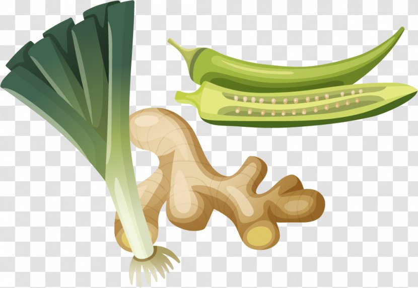 Vegetable Food Okra Illustration - Grass - Onion Pepper Vector Material Transparent PNG