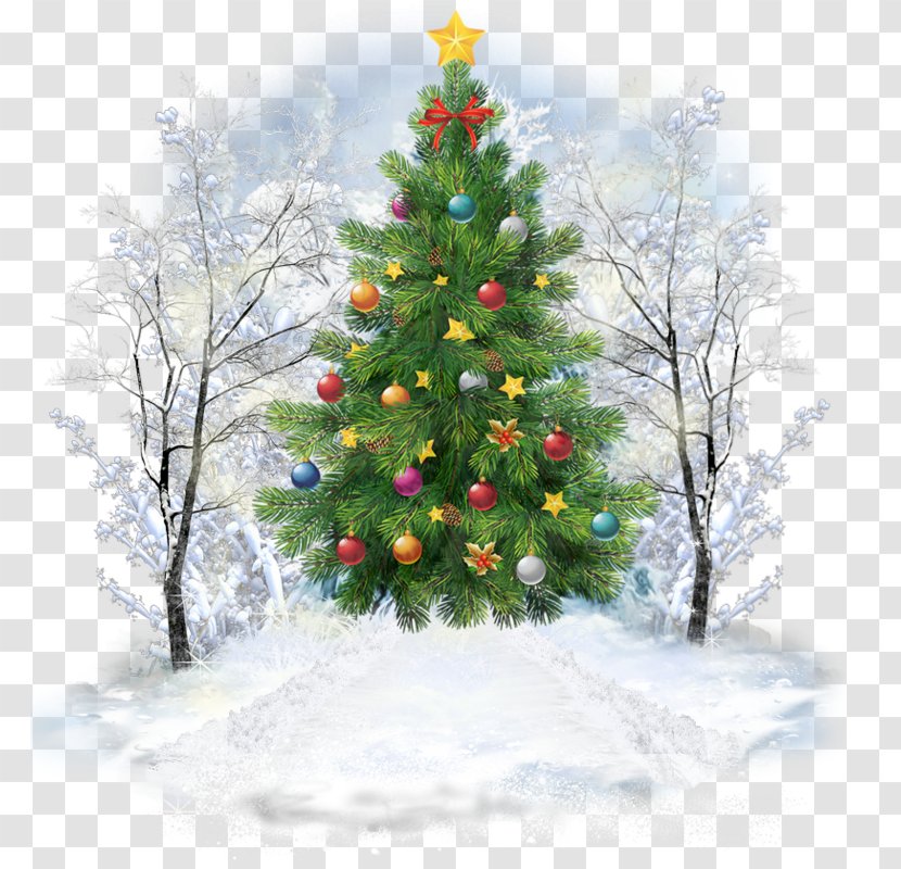 Christmas Tree Day Santa Claus Image - Winter Transparent PNG