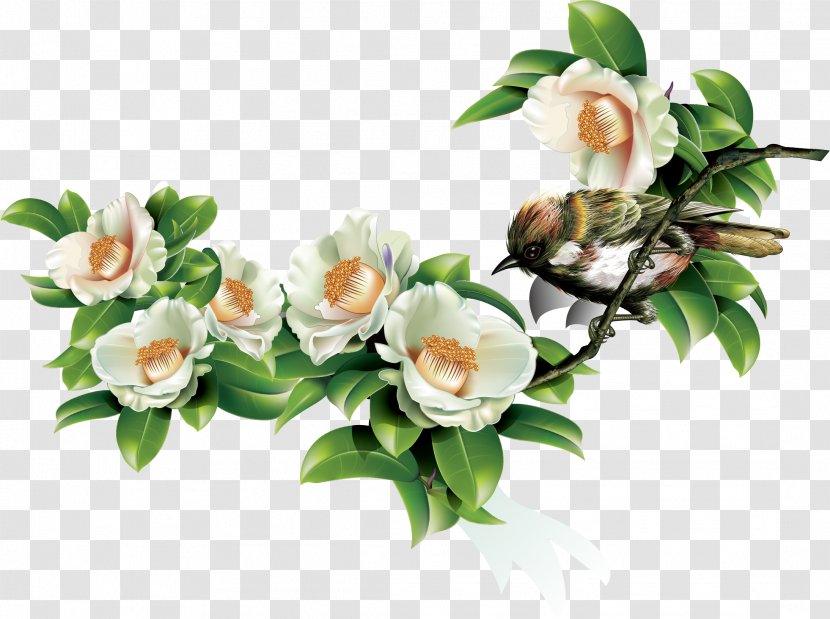 Green Leaves And Birds In Spring - Petal - Rose Family Transparent PNG