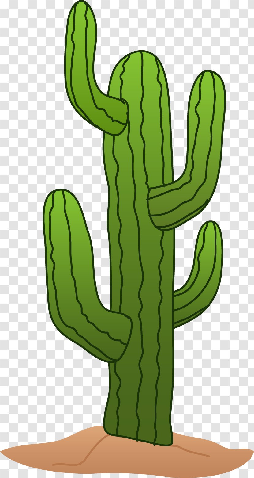 Cactaceae Saguaro Desert Clip Art - Plant Stem - Cactus Transparent PNG