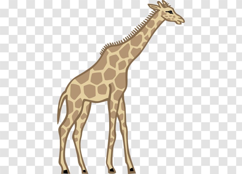 Royalty-free Clip Art - Giraffidae - Tall Cliparts Transparent PNG