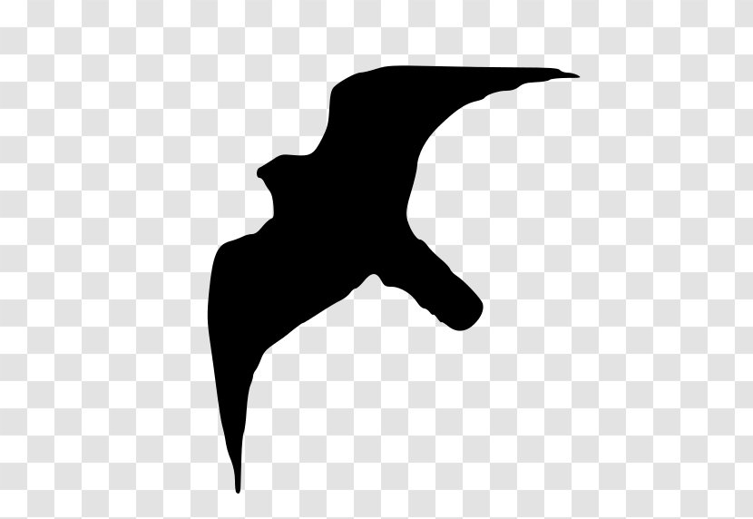 Peregrine Falcon Bird Drawing - Tail Transparent PNG