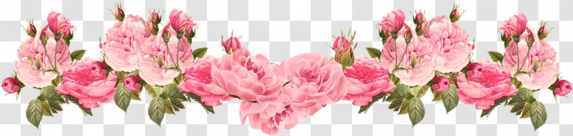 Rose Pink Flowers Clip Art - Floral Design - Background Spring Transparent PNG