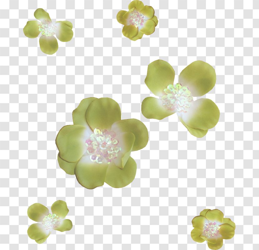 Petal Flower Clip Art Transparent PNG