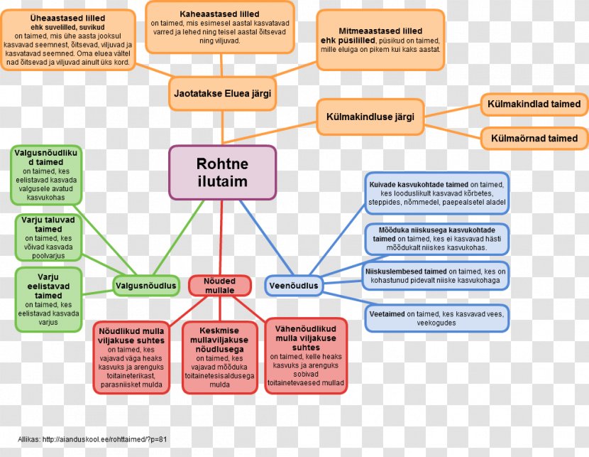 Brand Diagram - Organism - Design Transparent PNG