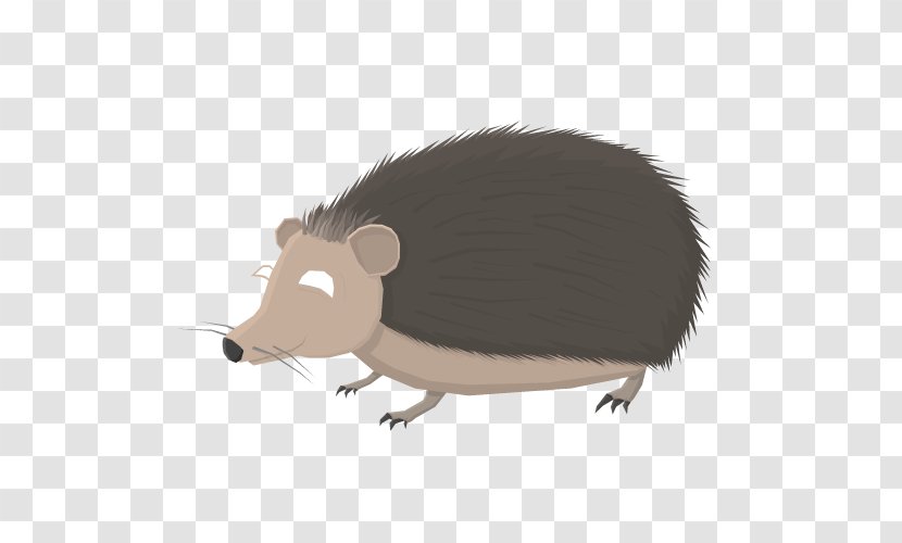 Common Opossum Pig Snout Computer Mouse Fauna - Cartoon Transparent PNG