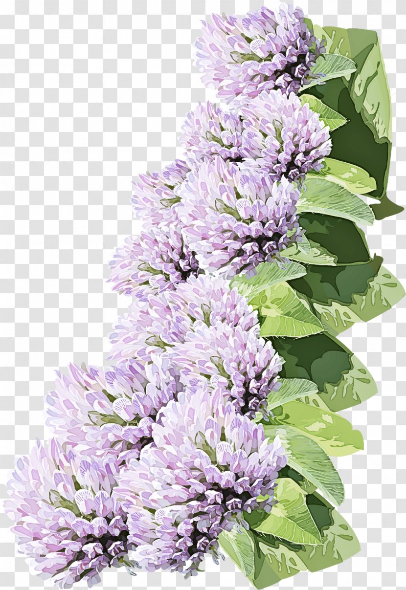 Lavender - Violet - Buddleia Transparent PNG