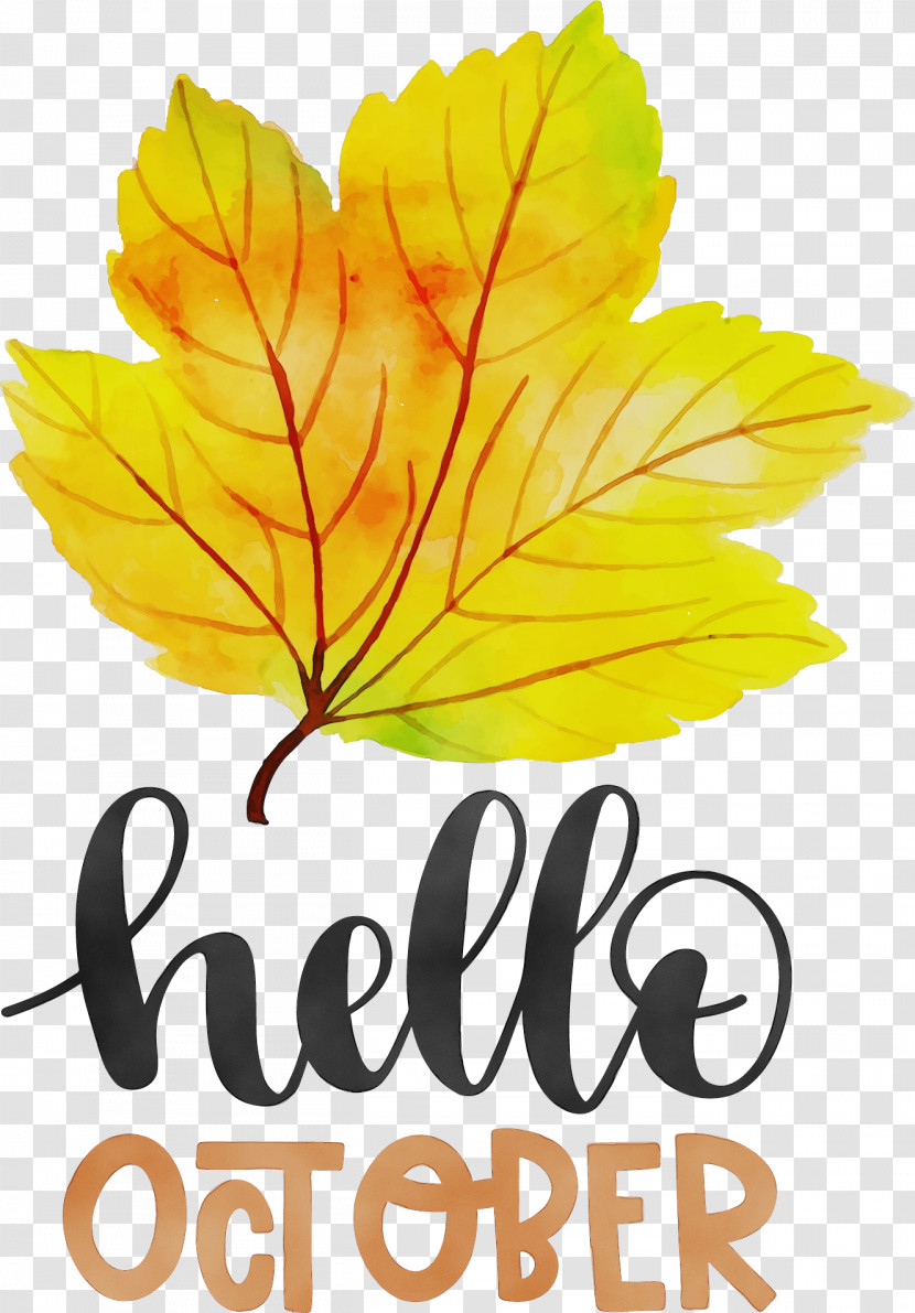 Leaf Flower Font Tree Fruit Transparent PNG