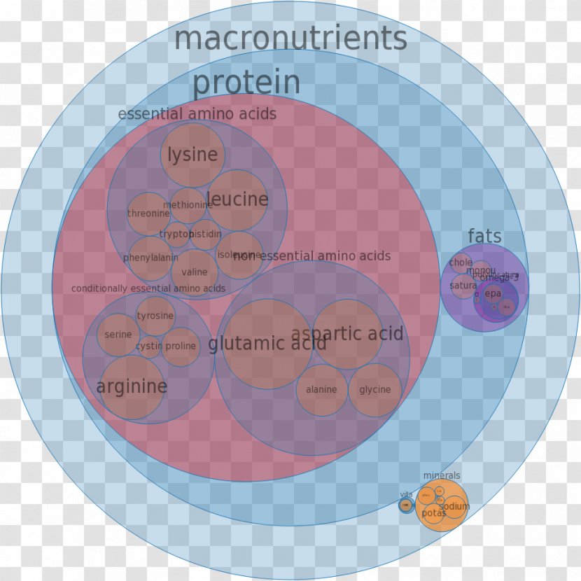 Red Grouper Nutrition Food Nutrient - Cooking Transparent PNG