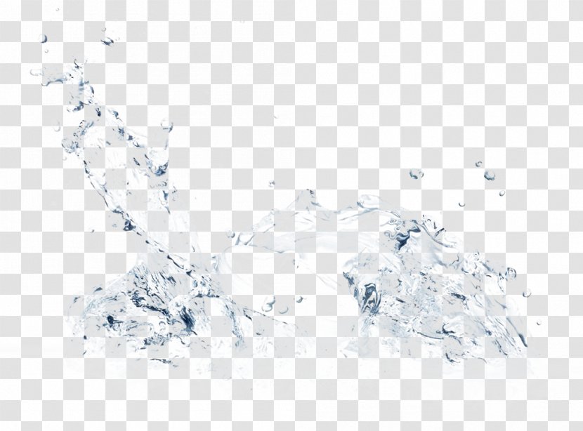Water Royalty-free Cream - Stockxchng - Water,Hydra Transparent PNG