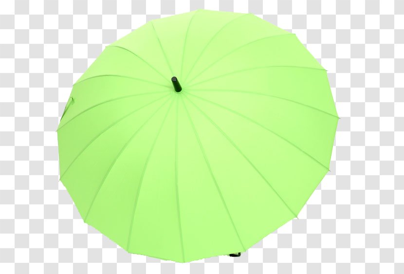 Green Umbrella Angle - Large Grass Transparent PNG