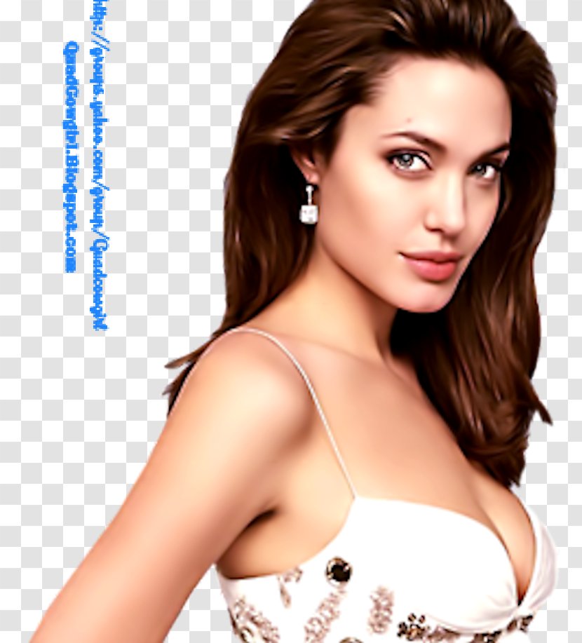 Angelina Jolie Hollywood Actor Film Director Female - Flower Transparent PNG