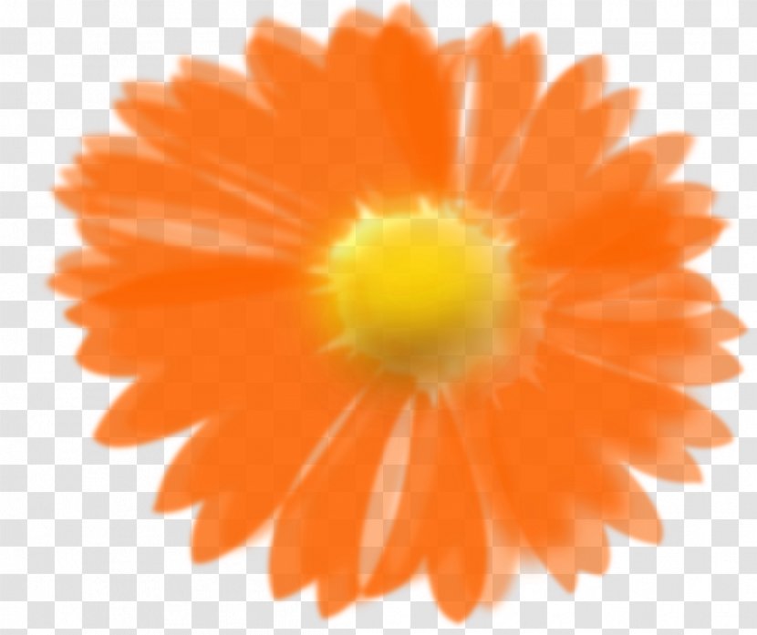 Orange Flower Clip Art - Daisy Family - Sunflower Transparent PNG
