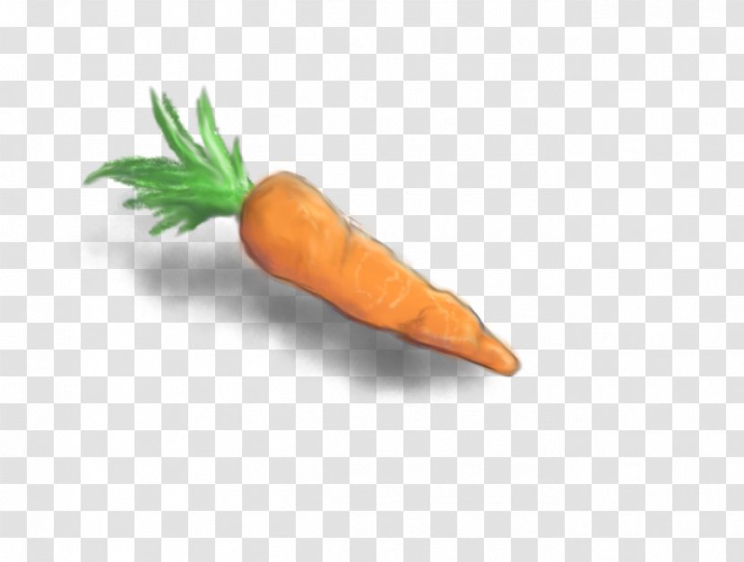 Carrot Vegetable Food Drawing Sketch Transparent PNG