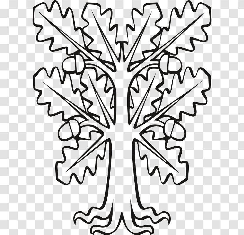 Branch Clip Art English Oak Leaf Sessile - White Transparent PNG